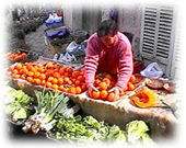 Orangen Stand auf dem Markt