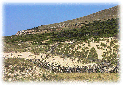 Cala Mesquida Dünen