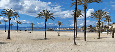 Palmen am Strand von Arenal